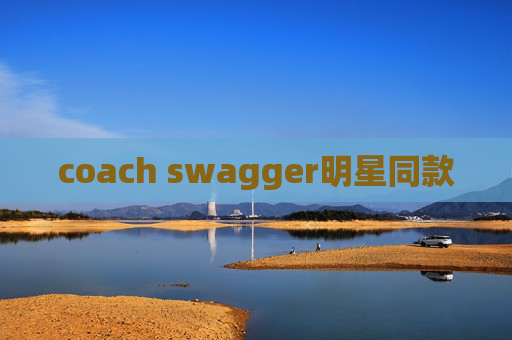coach swagger明星同款